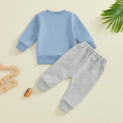 Fall toddler boys sweatshirt pants set