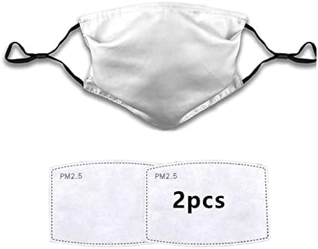 FDIN Face Mask Balaclava Windproof Dustproof Comfortable Design