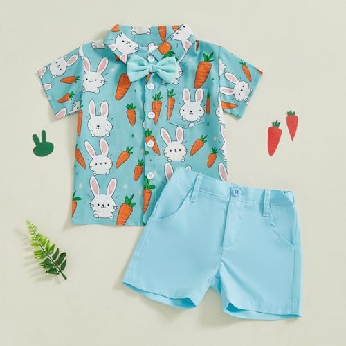 Ledy Champswiin Toddler Boys Easter Outfit