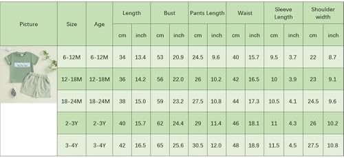 Bagilaanoe 2-Piece Summer Outfit for Toddler Boys Mallard Duck
