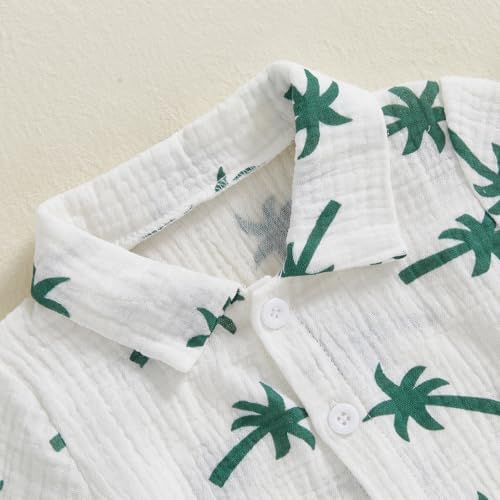 Baby Boys Summer Outfit Comfortable and Stylish for Kids
