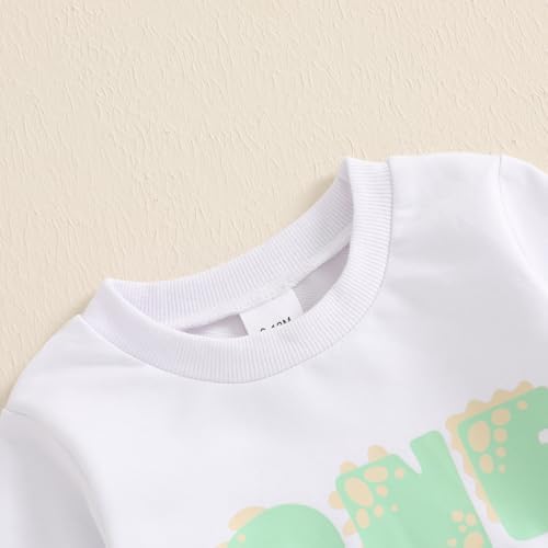 adorable 1st birthday Dinosaurs sweatshirt and joggers set for boys