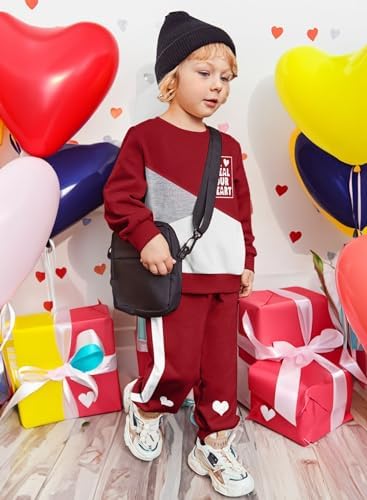 Toddler Boys Color Block Outfit Set - 2T-6T
