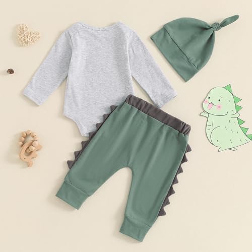 Dinosaur Toddler Boy Set