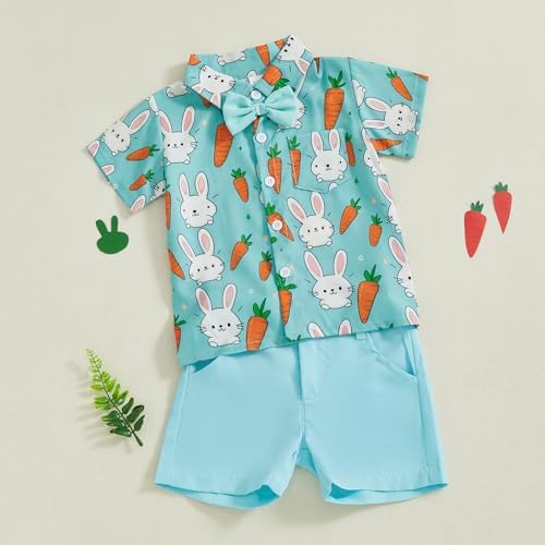Ledy Champswiin Toddler Boys Easter Outfit
