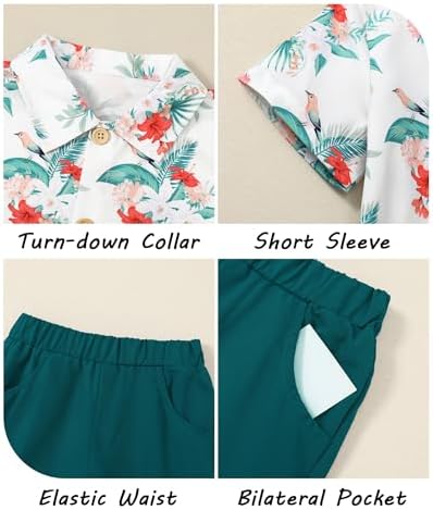 CocoRARA Toddler Boys Hawaiian Flamingo Outfits