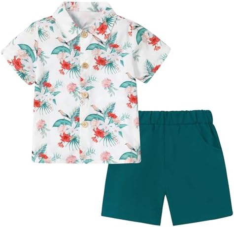 CocoRARA Toddler Boys Hawaiian Flamingo Outfits