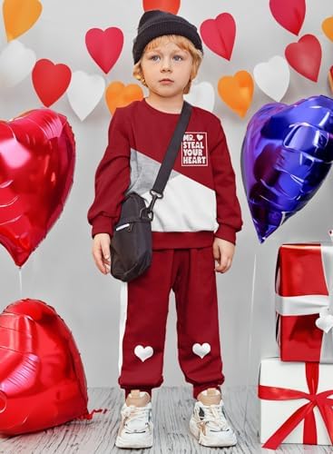 Toddler Boys Color Block Outfit Set - 2T-6T