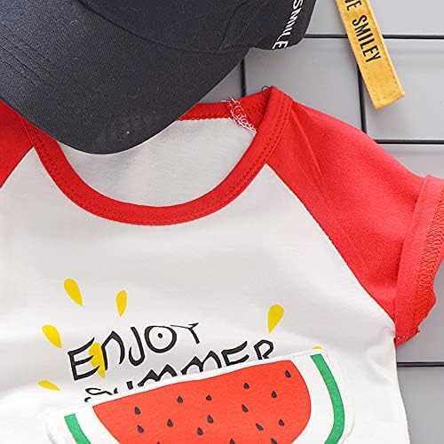 Baby Boys Watermelon Print Outfit Set