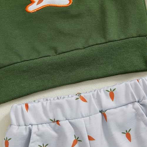 Perfect Toddler Boys Rabbit Carrot Embroidery Spring Clothes 6M-4T Set