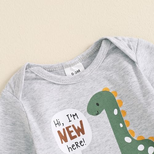 Dinosaur Toddler Boy Set