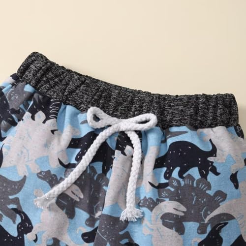 Bekarsy Toddler Dinosaur Camouflage Sweeps Fall Winter Outfit