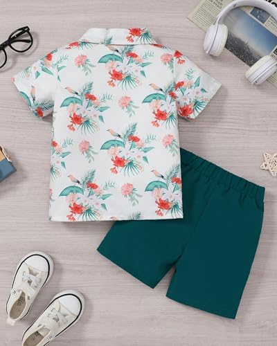CocoRARA Toddler Boys Hawaiian Flamingo Outfits