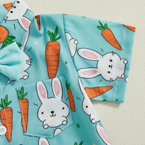 Ledy Champswiin Toddler Boys Easter Outfit