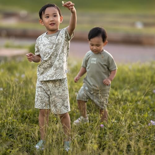 Gerber Baby Boys T-Shirt and Shorts Set