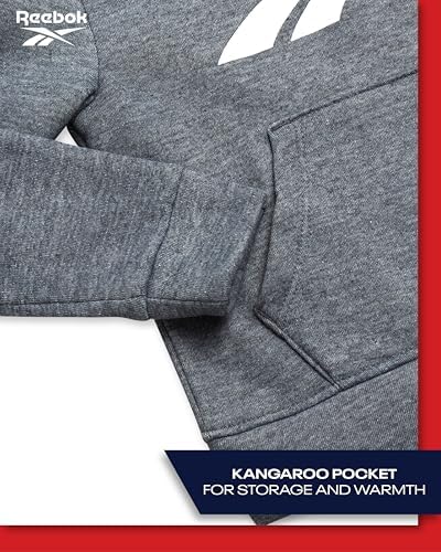 Reebok toddler boys active fleece sweatshirt and jogger set