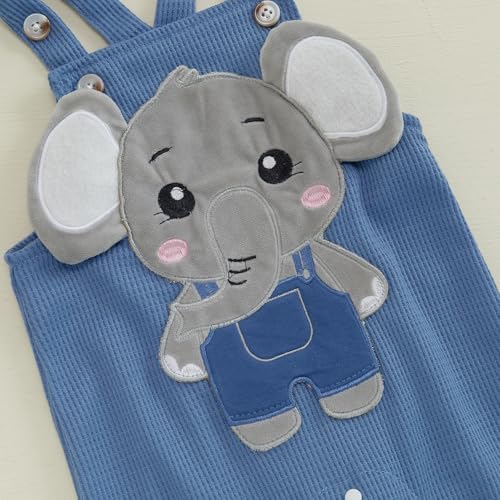 Newbgclo Baby Boy Summer Clothes Set