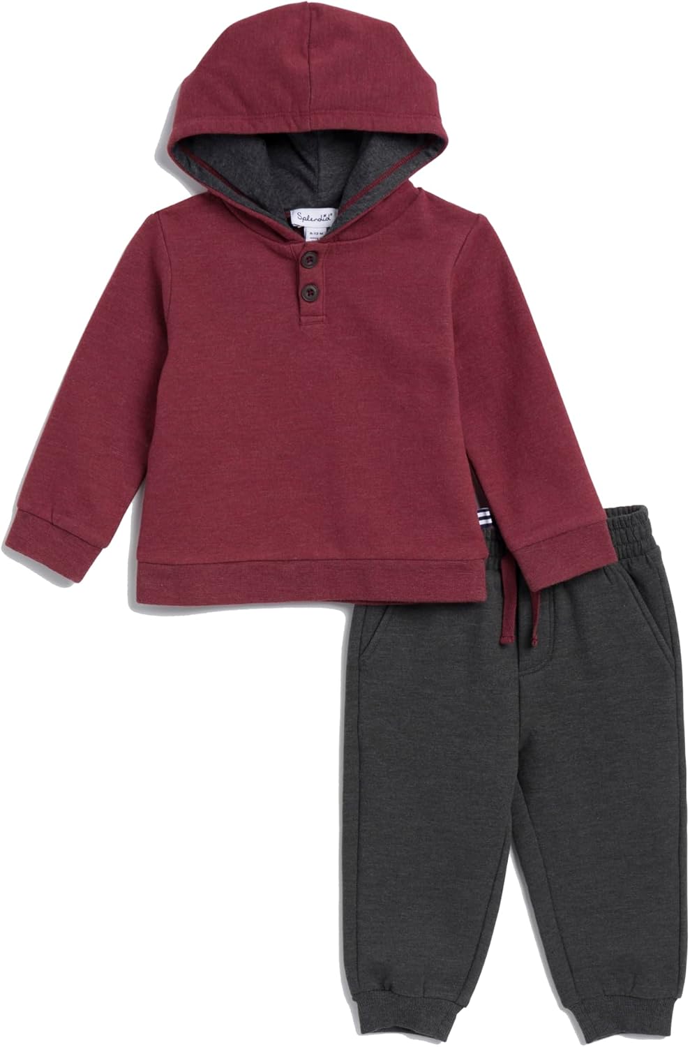 Splendid baby boys Two Tone Hoodie Set