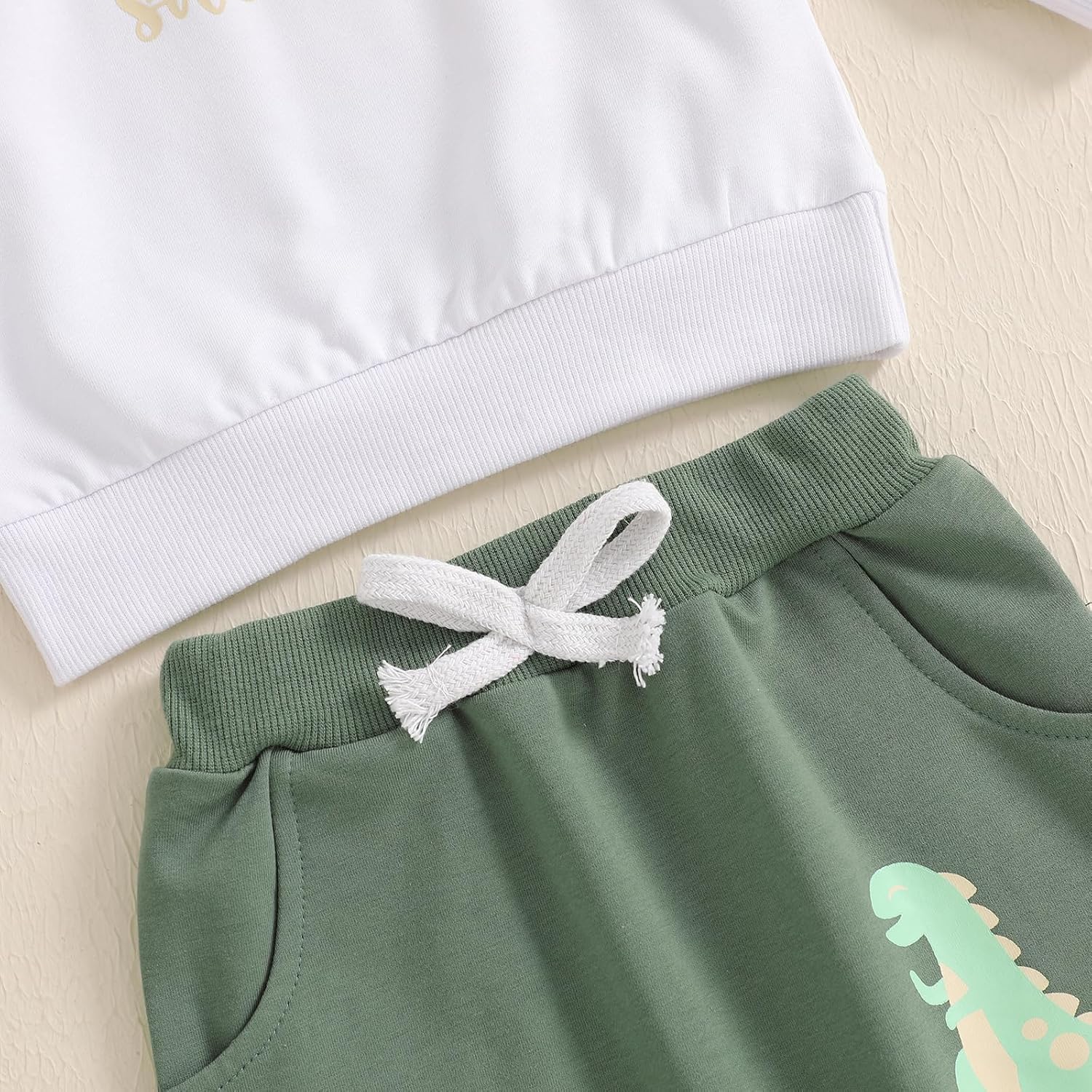 adorable 1st birthday Dinosaurs sweatshirt and joggers set for boys