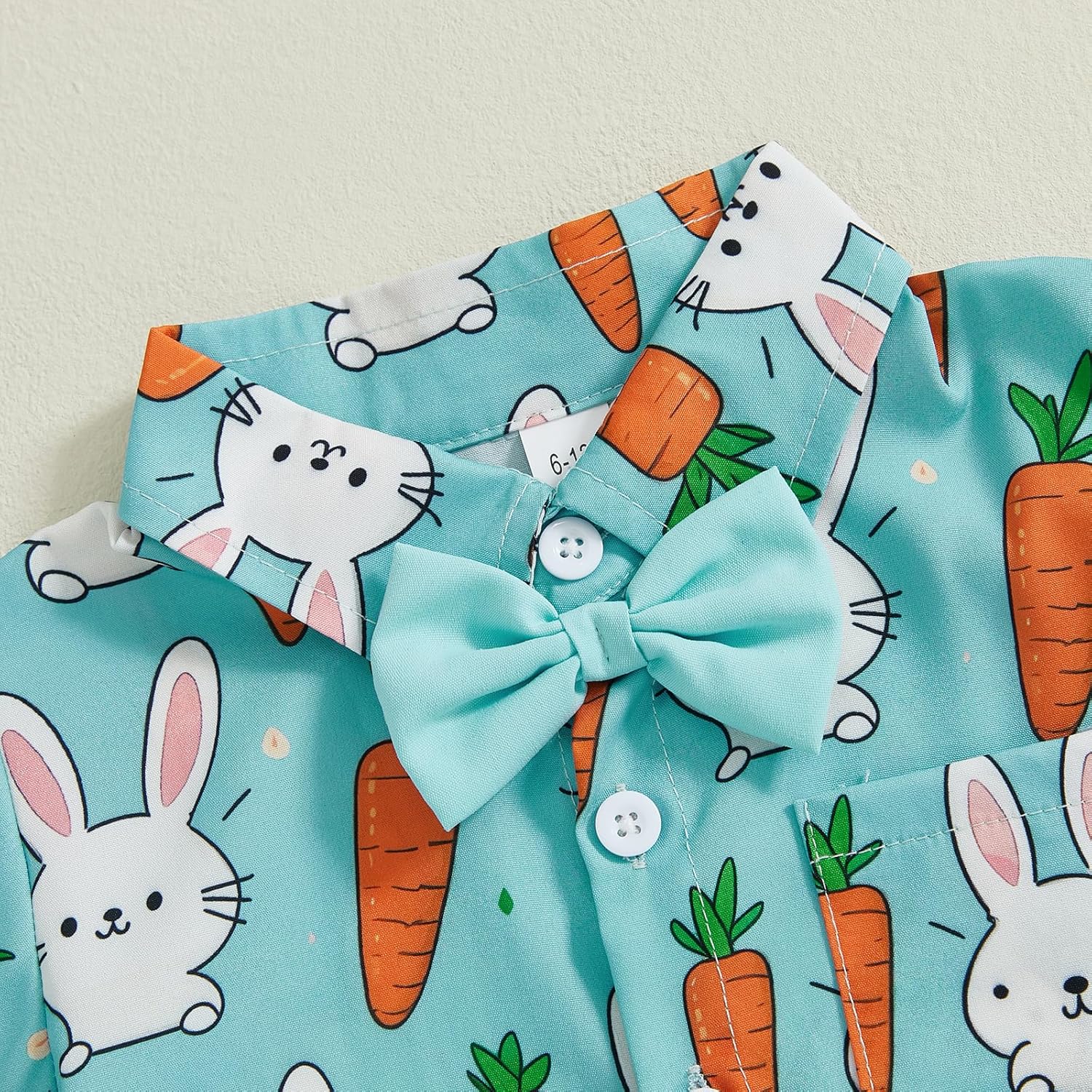 Ledy Champswiin Toddler Boys Easter Outfit