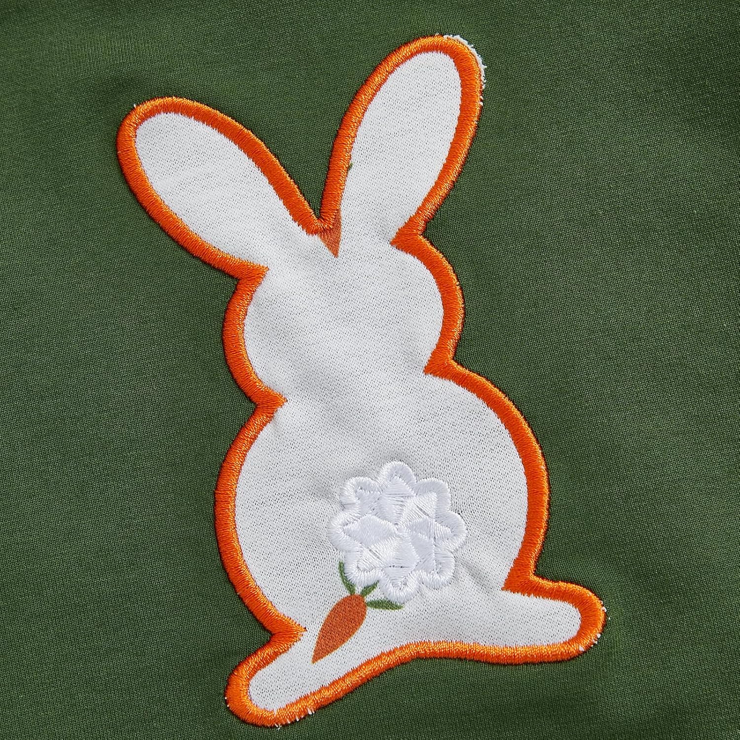 Perfect Toddler Boys Rabbit Carrot Embroidery Spring Clothes 6M-4T Set