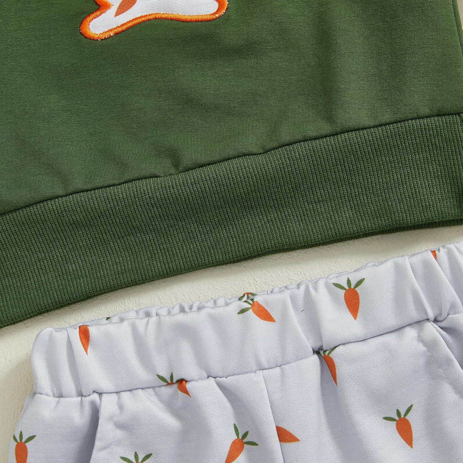 Perfect Toddler Boys Rabbit Carrot Embroidery Spring Clothes 6M-4T Set